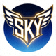 SKY战队标志