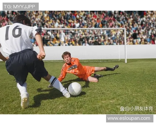 足球场上的6号球星是谁 他们如何在比赛中发挥重要作用